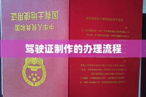 蒸湘驾驶证制作的办理流程